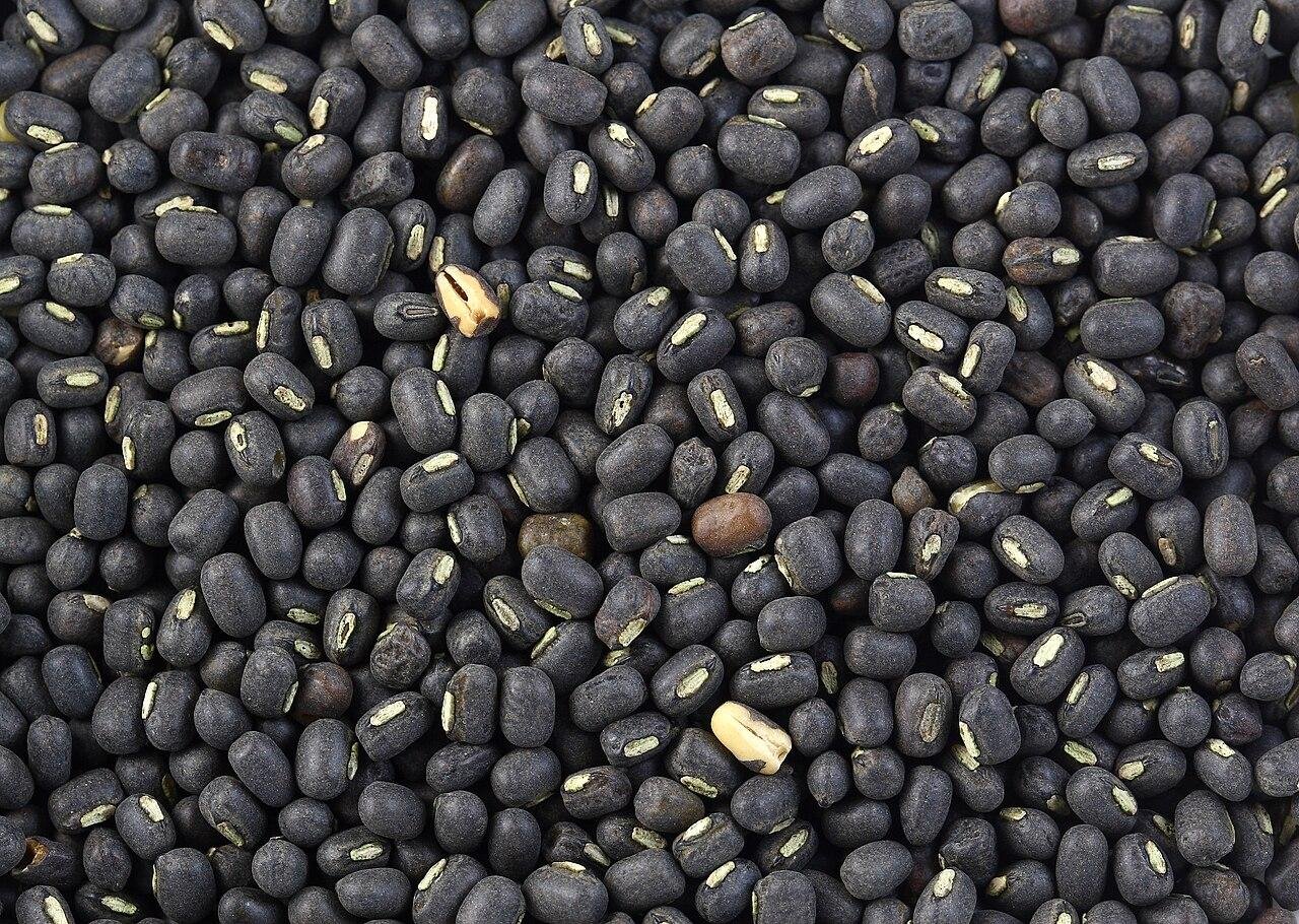 Dry whole urad, before cooking water goes back in